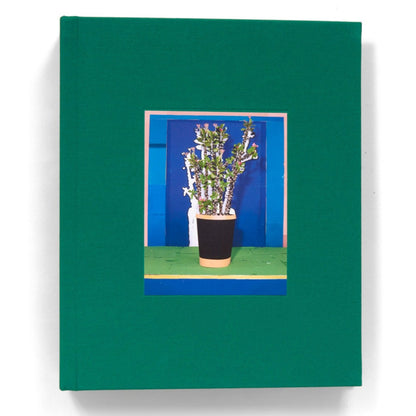 Houseplants by Daniel Gordon | OlIO Music & Arts