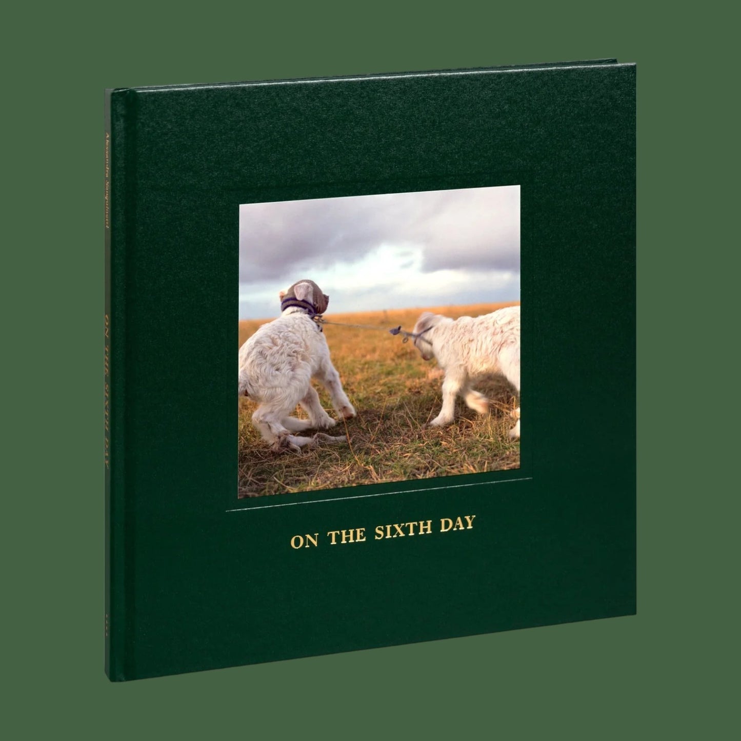 On the Sixth Day by Alessandra Sanguinetti - Olio Music & Arts