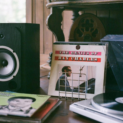 Churvy Record & Book Stand - Store & Organize Your Records, Vinyl LPs, Books, Magazines & More in Vintage Style | OlIO Music & Arts